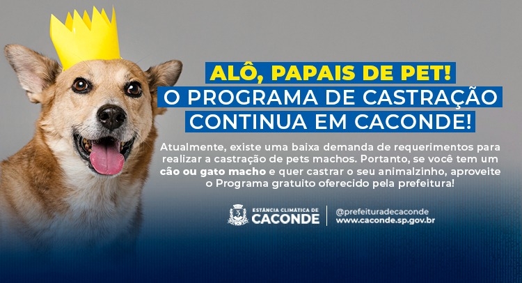 Capa da notícia